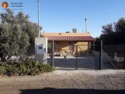 Mires - Pombia Süd Kreta, ruhiges EFH im Olivenhain Wfl.70qm Grdst. ca.5500qm Haus kaufen